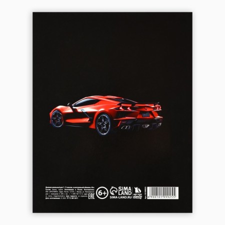 School diary for grade 1-11, in an integrated cover, 40 l. "Street Racing"-4
