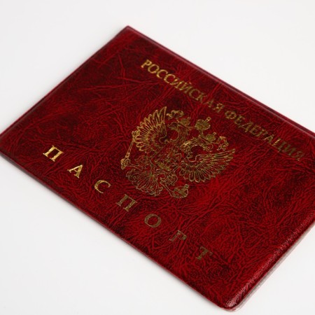 Cover for passport, burgundy color-2