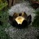 Light Garden Era on the Solar Battery "Lotus" LED, IP44