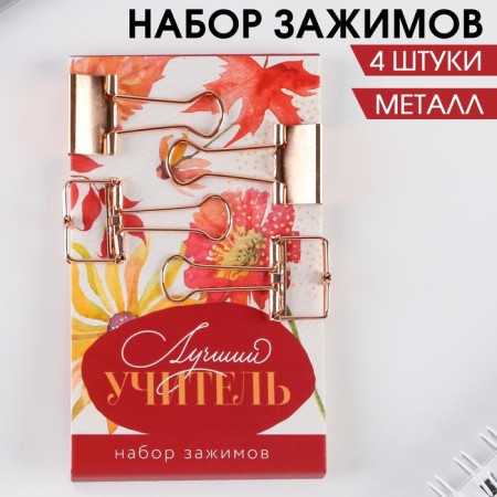 Set of decorative clamps "Best Teacher": 4 pcs, metal