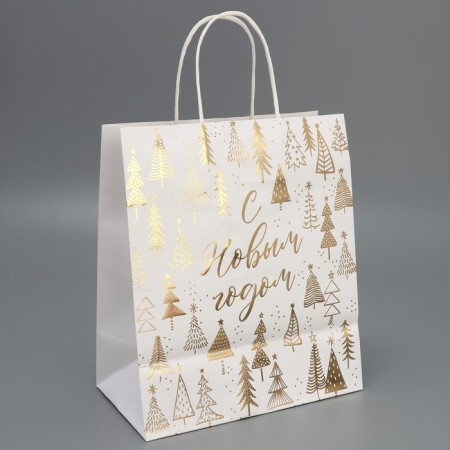 Package gift craft "New Year's time", 22 x 25 x 12 cm, new year-4