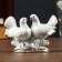 Souvenir "2 white pigeons" with rhinestones 9x12 cm