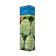 Smiring hydrangea (Northern Garden series) "Laimlight" 1 pc, tube, spring 2025