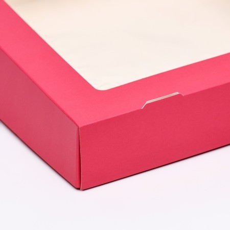 Container for removal, coral, 20 x 20 x 4 cm-2