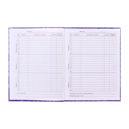 Diary for grades 1-4 "Bear", hard cover, glossy lamination, 48 sheets-6