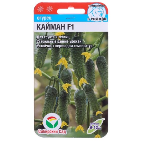 Cucumber Cucumber "F1, Early Nespeli, 7 pcs
