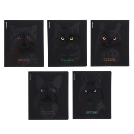 Notebook of 48 sheets in the Erichkrause "Gaze" cage, Soft-Touch lamination, offset 100%, mix