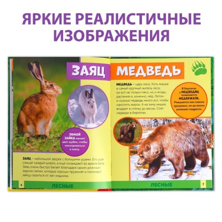 Фотоэнциклопедия для детей «В мире животных», 48 стр.-3