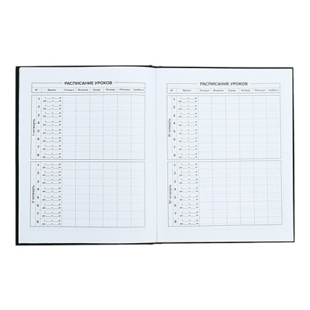 Universal Diary Grade 1-11, 48 raccoon sheets, solid cover, foil embossing, glossy lamination, universal cheat sheet, block 65 g/m2-6