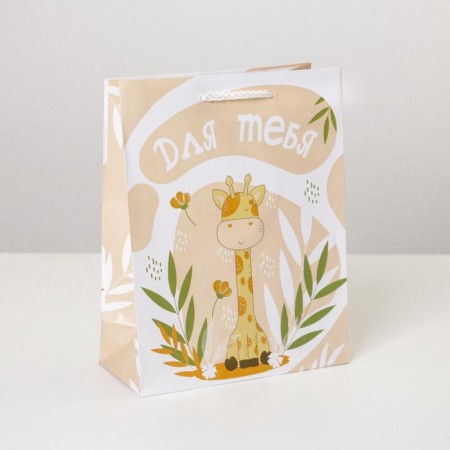 Gift package laminated, packaging, “Congratulations to you”, MS 18 x 23 x 8 cm-1