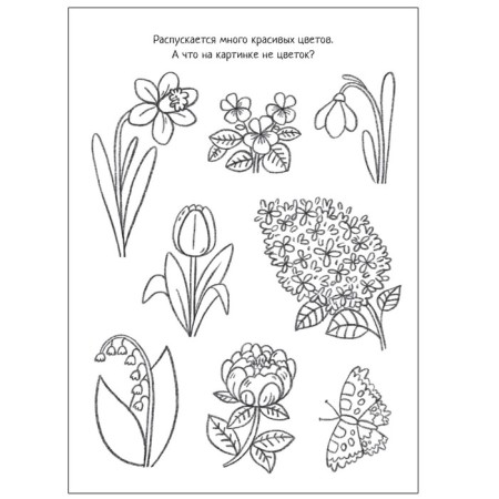 Cognitive coloring. Seasons-3