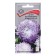 Flower seeds Astra Pionovid "Duches Blue End White", 0.3g.