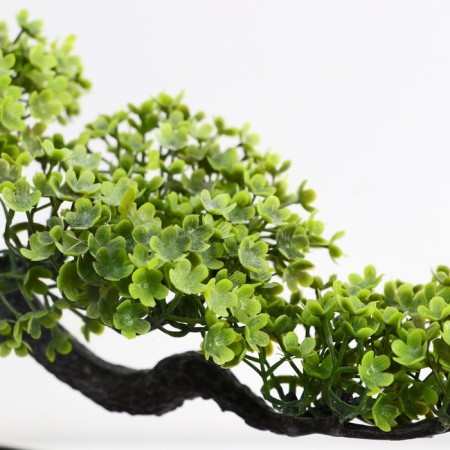 Bonsai in the pot "Delogs tree" 10.5x15 cm-1