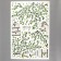 Sticking plastic interior color "Birds in cells in the garden" 60x90 cm