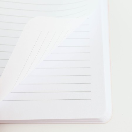 Diary A5+, 100 l. Soft region. Soft-Tach "Life"-4