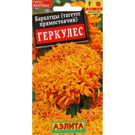 Flower seeds "Hercules", erect, c/n, 0.2 g
