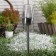 Garden lamp "Start" on the sunny battery, 6 × 38 × 6 cm, glow warm white