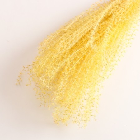 Set of dried flowers "Miscantus", banch 3-5 pcs, length 60 (+/- 6 cm), yellow-2