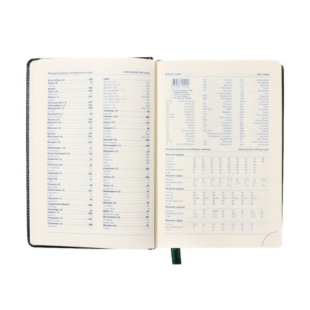 Dated diary of 2025, A5, 168 sheets in the ruler, leatherette "Nebraska", gold cut, green-8