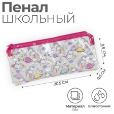 Penal soft 1 compartment, 95 x 205 mm, flat, PVC, calligrata 