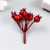 Decor for the creativity "Irga Red" 5.5 cm