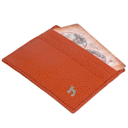 Cartholder, Orange color-1