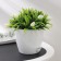Pot for flowers with basal watering "Rumba", 1 l, white color