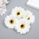 A bud on the leg for decorating "Chrysanthemum-bromachus White" d = 5 cm