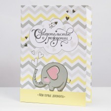 Folder for birth certificate 