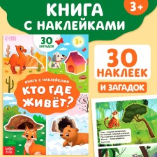 A book with the stickers 
