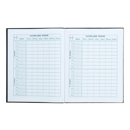 School diary for grade 1-4, 48 sheets "Racing", hard cover, glossy lamination, universal cheat sheet, block 65 g/m2-6