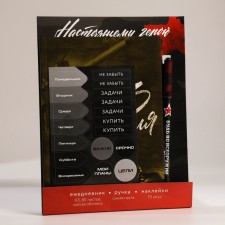 Set: A5 Diary, 80 sheets, stickers and pen 