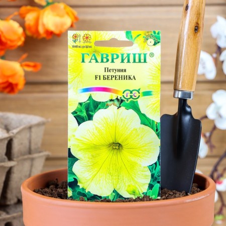 Flowers of Petunia "Berenice" F1, multi -flowered, o, granules, test tube, 7 pcs.
