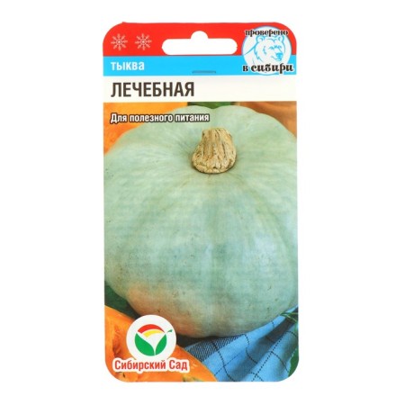Seeds of Pumpkin "Therapeutic", 5 pcs-1