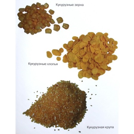 Cereals in pictures-4