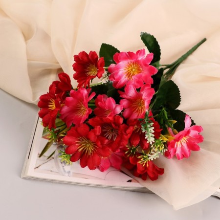 Bouquet "Astra Belgian" 14 flowers, d-5 cm h-30 cm, mix