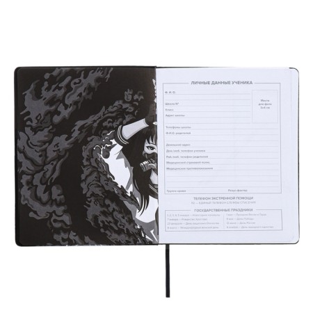 School diary for grades 1-11, "Rage of Katana", hard cover, artificial leather, lies, universal cheat sheets, 48 ​​sheets, block 80g/m2-4