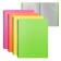 Folder with 40 A4 inserts, 550 μm, Erichkrause Matt Neon, Spiral, Mix