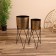 Kashpo on the stand "Brigs" metal (set 2 pcs), diameter 24 and 21 cm