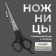 Hairdressers with emphasis, blade - 6.5 cm, black color