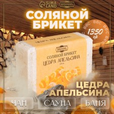 Salt briquette 