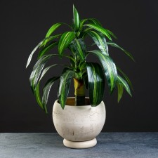 Flower -shaped pot 