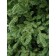 Artificial spruce Green Trees "Monteria", Lux, 180 cm