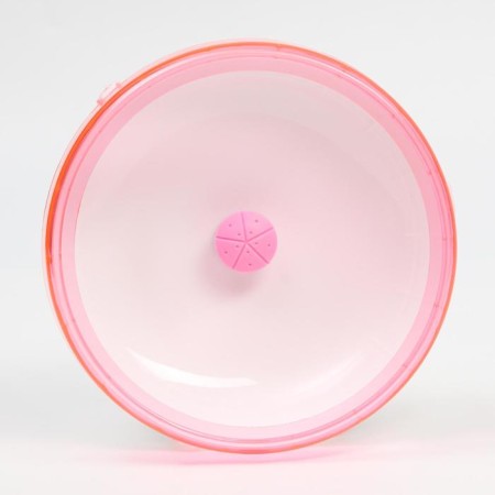 Wheel for rodents are quiet, 15 cm, color mix-1