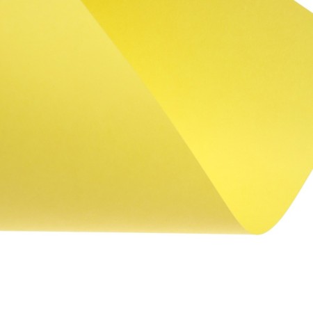 Color paper A4 250l Calligrata moderate intensive mix 5 -cv 80g/m2, barn-2