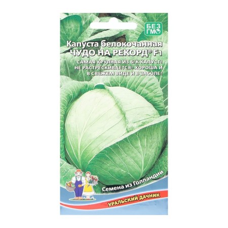 Cabbage seeds of white cabbage "Miracle for the Record" F1 late -ripening, coarse, 0.3 g-3