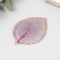 MOLD Plastic ST-0021 "Rosa Liszt" 7.5x5 cm mix
