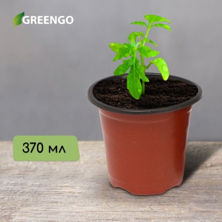 Pot for seedlings, 370 ml, d = 9.5 cm, h = 8 cm, terracotta, Greengo