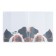 Set of covers PVC 213 x 355 mm, 140 μm, 3 pieces, "friends", for a diary and notebooks