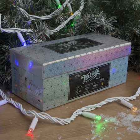 Garland "thread" 10 m, IP65, UMS, white thread, 100 LED, glow of multi, 220 V-2
